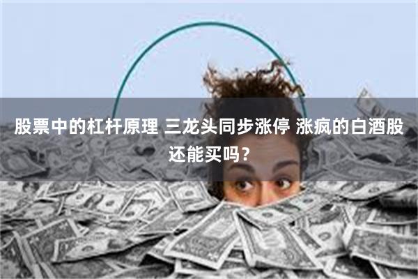 股票中的杠杆原理 三龙头同步涨停 涨疯的白酒股还能买吗？