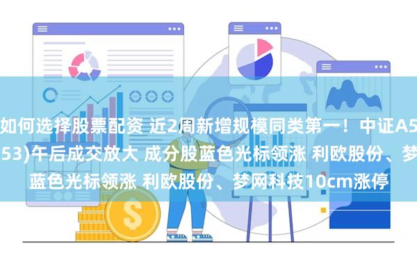 如何选择股票配资 近2周新增规模同类第一！中证A500ETF景顺(159353)午后成交放大 成分股蓝色光标领涨 利欧股份、梦网科技10cm涨停