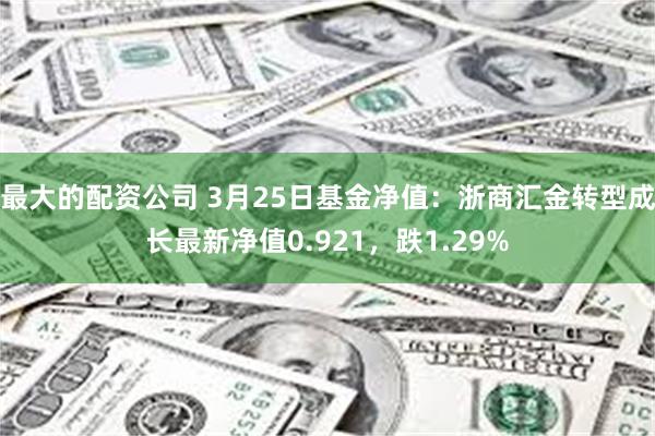 最大的配资公司 3月25日基金净值：浙商汇金转型成长最新净值0.921，跌1.29%