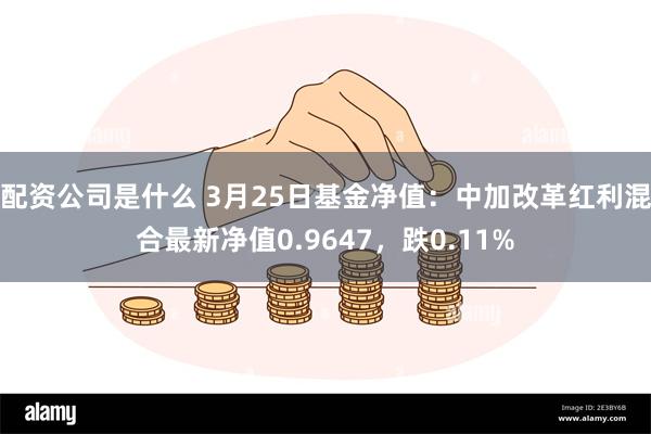 配资公司是什么 3月25日基金净值：中加改革红利混合最新净值0.9647，跌0.11%