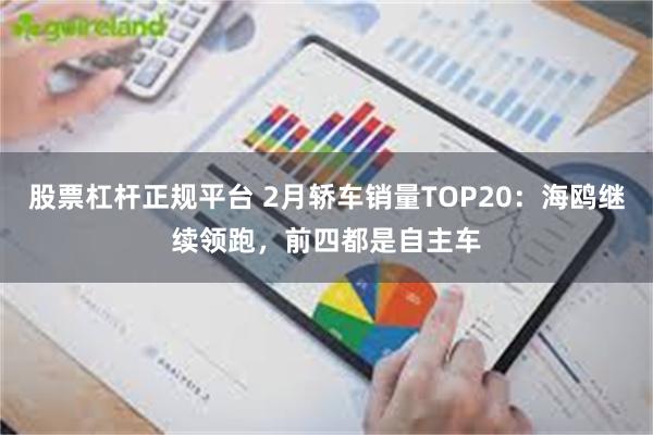 股票杠杆正规平台 2月轿车销量TOP20：海鸥继续领跑，前四都是自主车