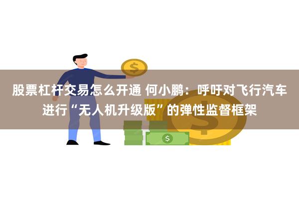股票杠杆交易怎么开通 何小鹏：呼吁对飞行汽车进行“无人机升级版”的弹性监督框架