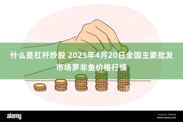 什么是杠杆炒股 2025年4月20日全国主要批发市场罗非鱼价格行情