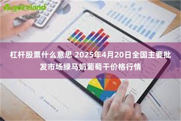 杠杆股票什么意思 2025年4月20日全国主要批发市场绿马奶葡萄干价格行情