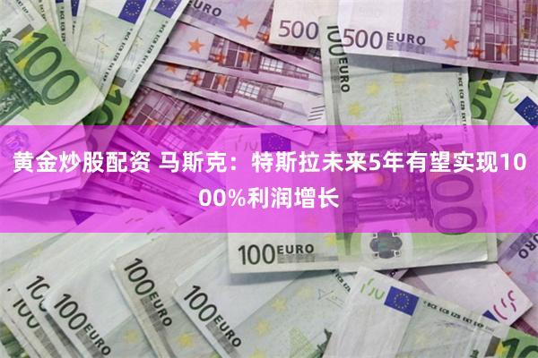黄金炒股配资 马斯克：特斯拉未来5年有望实现1000%利润增长