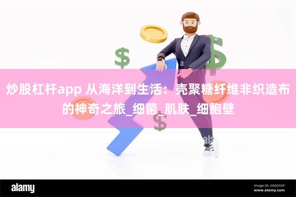 炒股杠杆app 从海洋到生活：壳聚糖纤维非织造布的神奇之旅_细菌_肌肤_细胞壁