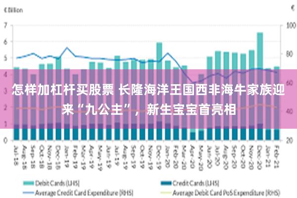 怎样加杠杆买股票 长隆海洋王国西非海牛家族迎来“九公主”，新生宝宝首亮相