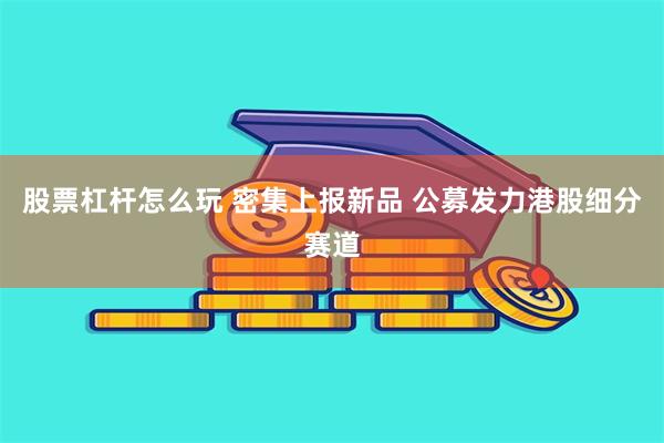 股票杠杆怎么玩 密集上报新品 公募发力港股细分赛道