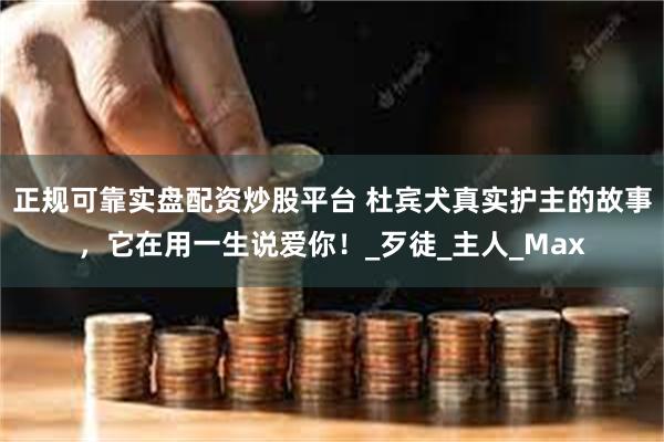 正规可靠实盘配资炒股平台 杜宾犬真实护主的故事，它在用一生说爱你！_歹徒_主人_Max
