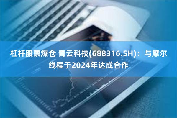 杠杆股票爆仓 青云科技(688316.SH)：与摩尔线程于2024年达成合作