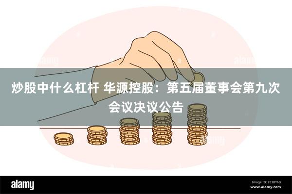 炒股中什么杠杆 华源控股：第五届董事会第九次会议决议公告