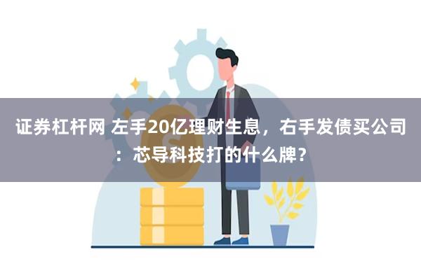 证券杠杆网 左手20亿理财生息，右手发债买公司：芯导科技打的什么牌？