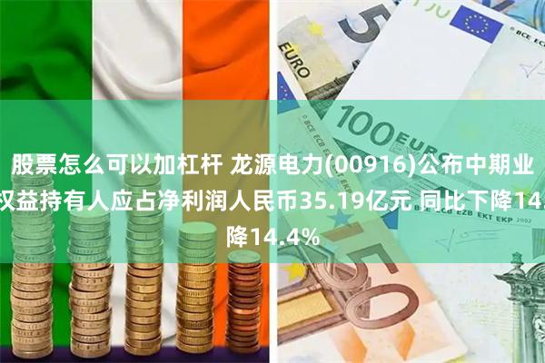 股票怎么可以加杠杆 龙源电力(00916)公布中期业绩 权益持有人应占净利润人民币35.19亿元 同比下降14.4%